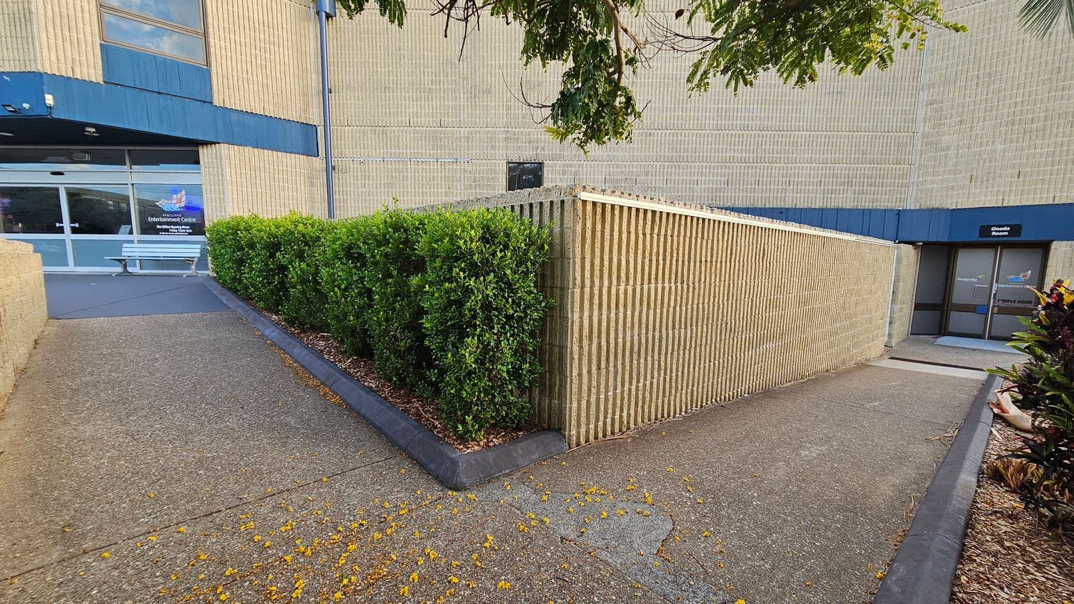 On the left, a pathway leads to a glass entrance with a sign for an entertainment centre. A bench is positioned near the door. On the right, another pathway leads to a door marked "Onoda room." A low wall with vertical grooves separates the two paths. Green shrubs line the left path, while a few plants are visible on the right. Overhead, tree branches extend into the frame. The building has a beige brick exterior with blue accents. The ground is covered with small yellow flowers.