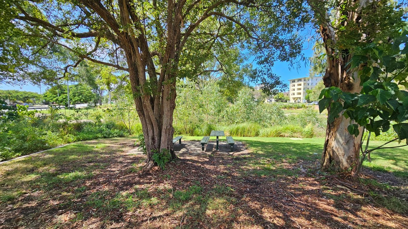 A park scene with a large tree in the foreground, its branches spreading wide. Beneath the tree, there is a picnic table with benches on a patch of grass. The ground is covered with fallen leaves and twigs. In the background, there is a grassy area with shrubs and a few taller trees. A building is visible in the distance on the right side. The sky is clear and blue.