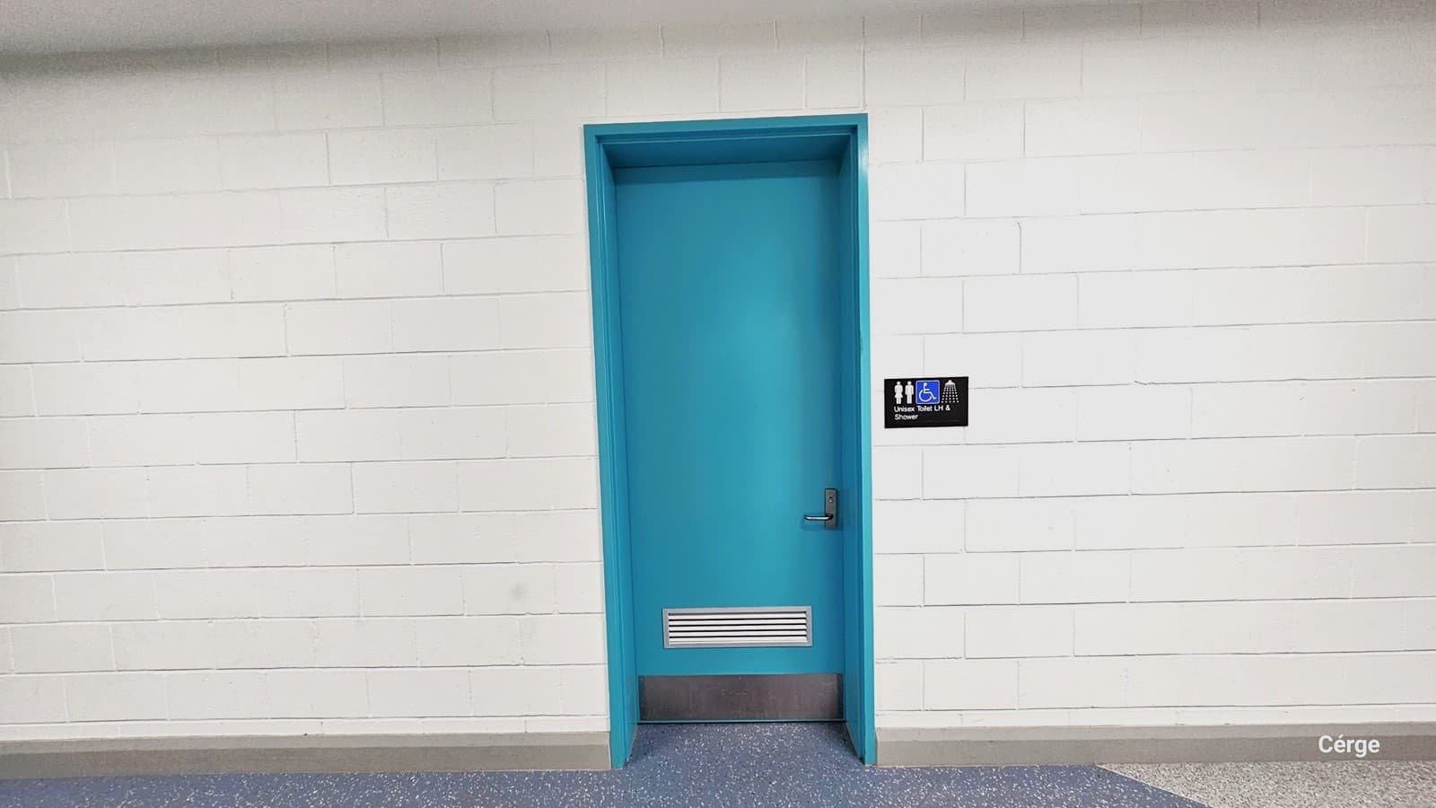 An accessible bathroom features white walls with a brick-like design. The green door has a metal handle, and a sign to the middle right indicates it's gender-neutral, disability-friendly and it features a shower room.