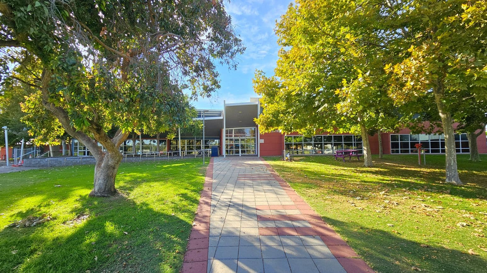 A paved walkway leads to a building with large glass windows and a modern design. On the left, a tree with dense foliage casts shadows on the grass. On the right, several trees with green and yellow leaves stand near a purple picnic table. The grass is dotted with fallen leaves. The building has a red and grey exterior, and the sky is clear.