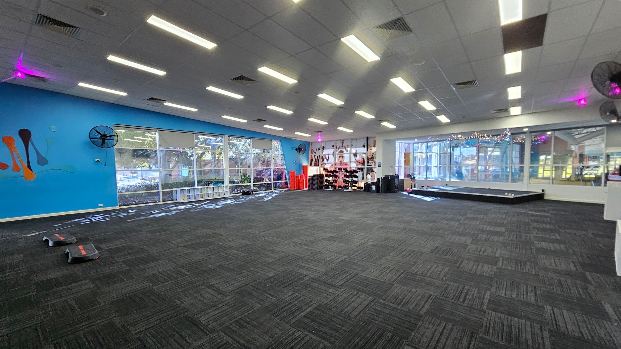 A spacious room with a dark carpeted floor and a ceiling with rectangular lights. On the left, a blue wall features abstract designs and large windows with views of trees outside. Two step platforms are on the floor. The right side has a mirrored wall with fairy lights and a small stage. Exercise equipment, including red mats and weights, is neatly arranged near the windows. Ceiling fans are mounted on the walls.