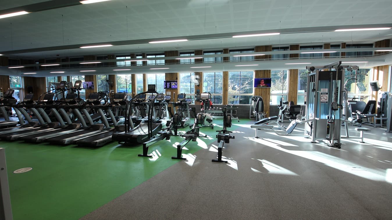 Inside look at the Health Club room containing several pieces of cardiovascular equipment. The floor is divided into green and grey areas. Several treadmills are placed on the green floor. The room has glass walls with an outlook over the forest and trees which creates a natural ambience.