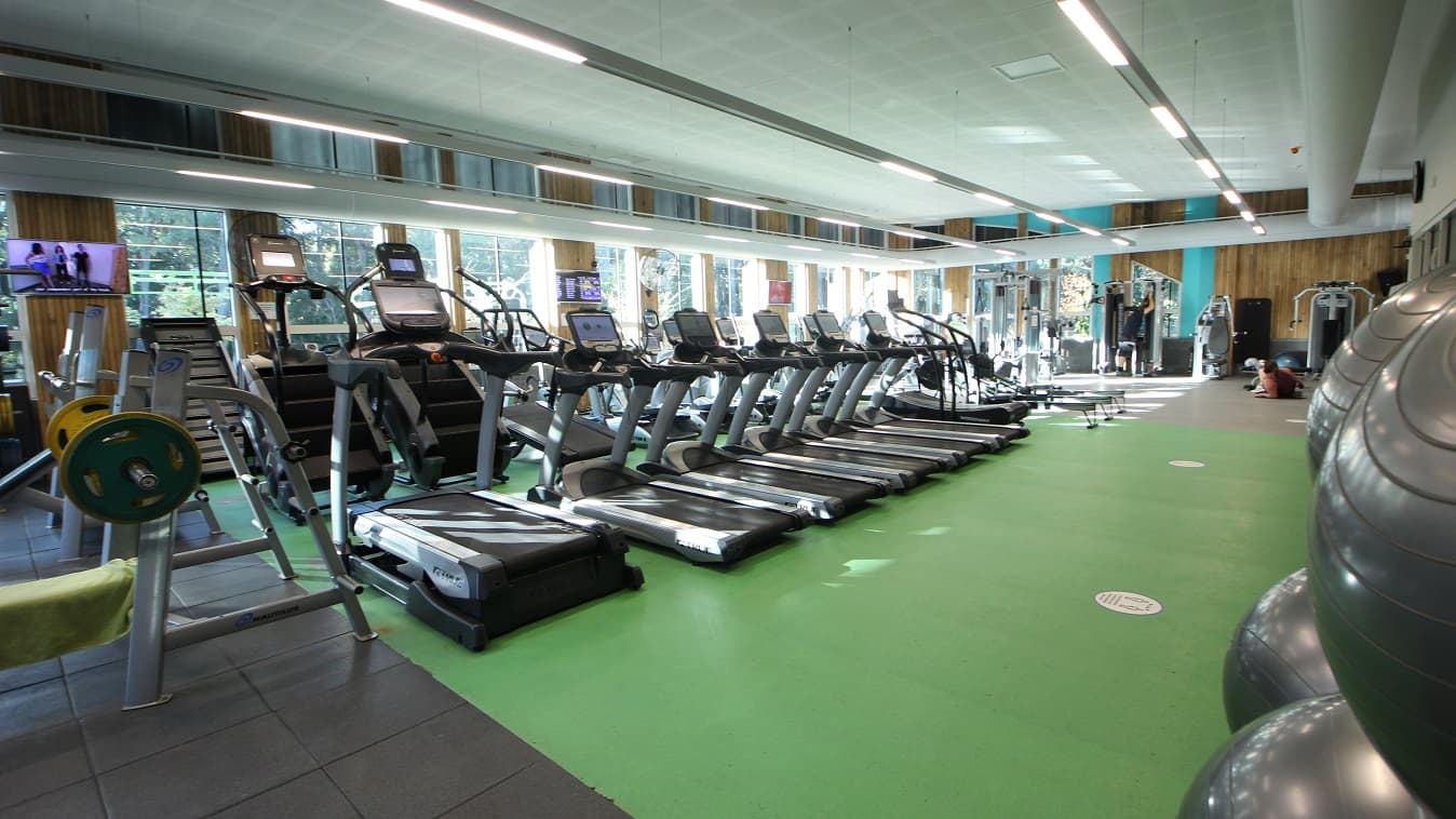 The image shows large grey gym balls on the right side opposite to the treadmills inside the Health Club room. The room is well-lit by long metal fluorescent light covers hung in the ceilings. Next to the green-painted floor is a grey-tiled floor which is the section for heavy lifting equipment.