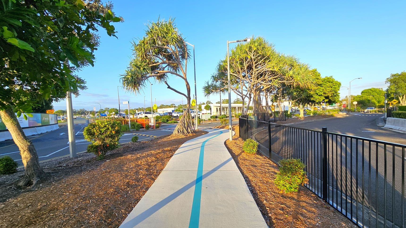 A paved pathway with a blue line runs through the centre, flanked by trees with distinctive, spiky leaves. On the left, there's a road with traffic signs and a construction barrier. On the right, a black metal fence borders the path, with more trees and bushes nearby. In the background, buildings and parked vehicles are visible, along with more greenery. The ground is covered with mulch, and the sky is clear.