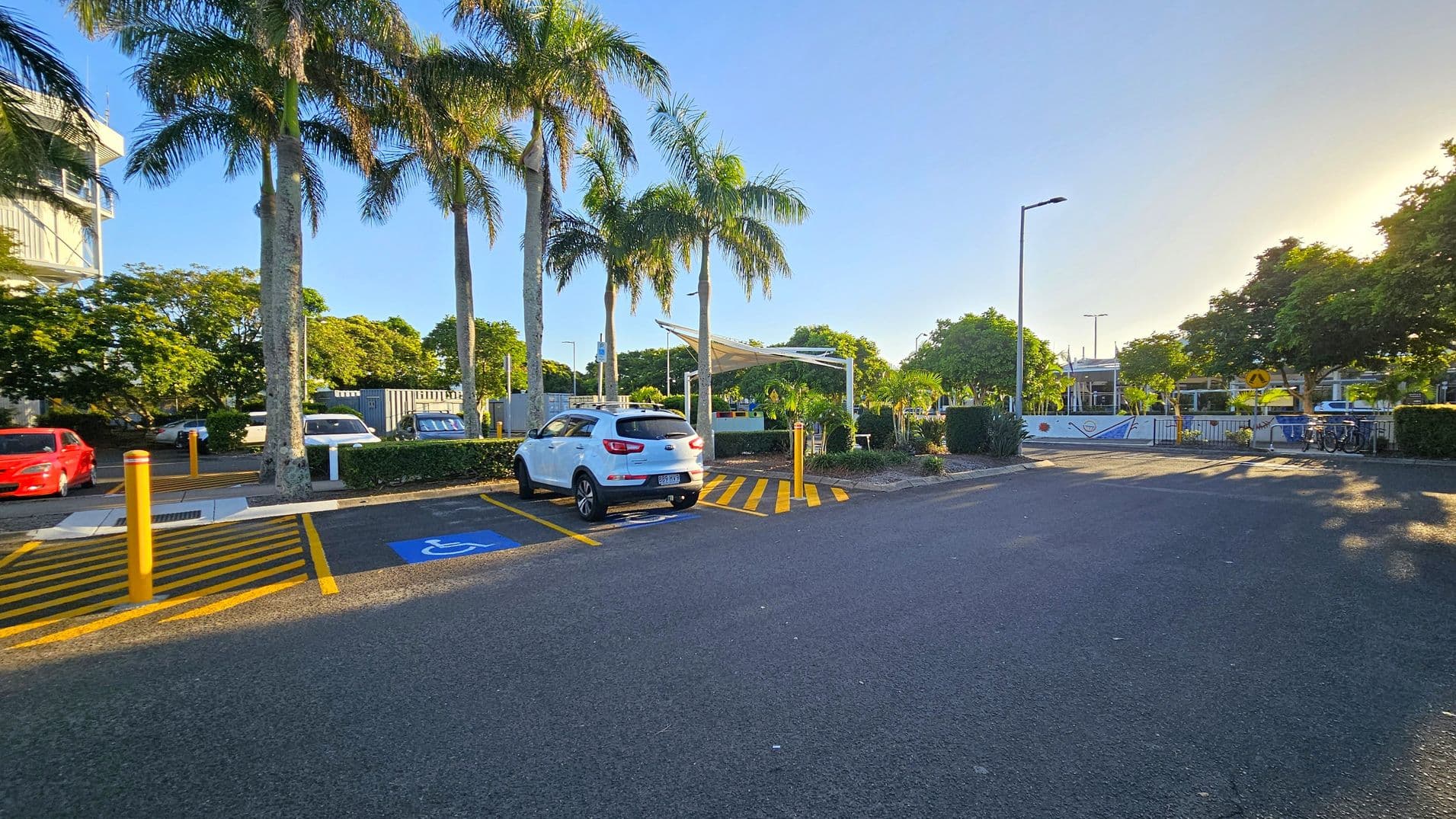 A parking area with a white car parked in a disabled parking space marked with a blue symbol on the ground. Yellow lines and bollards are present around the parking spaces. Tall palm trees line the left side, with a red car visible further back. In the background, there are more trees, a building, and a covered seating area. The ground is asphalt, and there are streetlights and a fence in the distance.