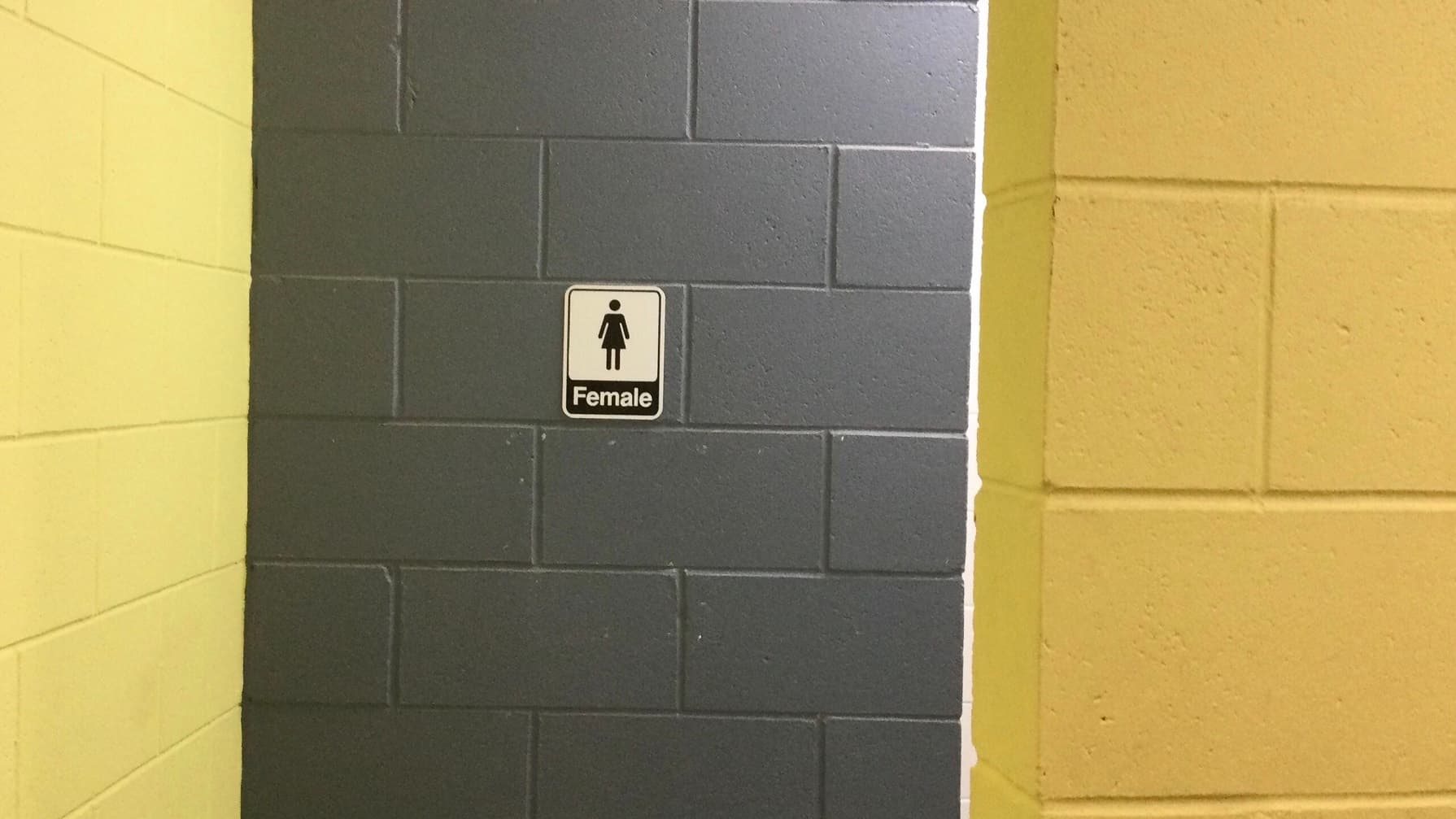 The grey and yellow concrete walls in the female section of the leisure centre’s toilet. The grey wall has the white and black signage of a female toilet.
