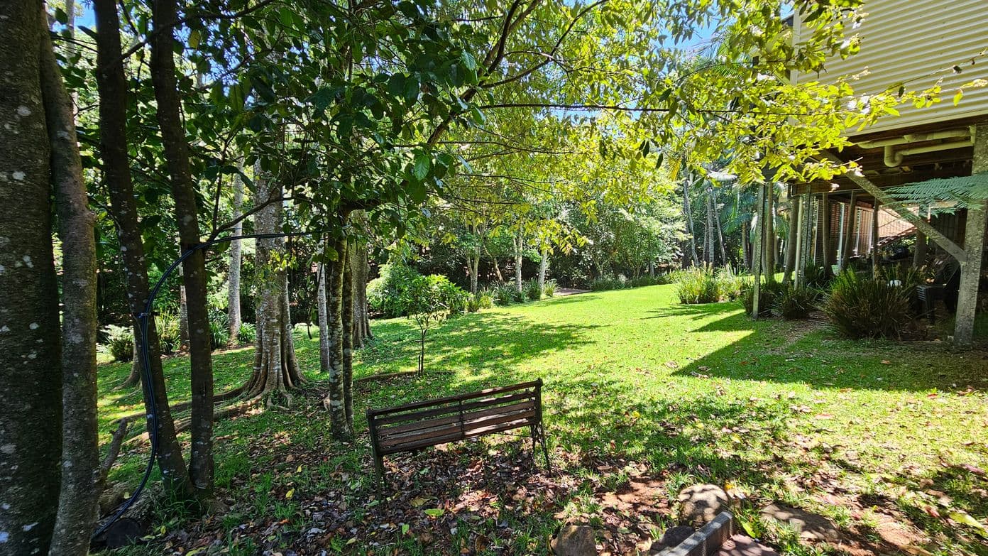A lush garden scene with a wooden bench in the foreground, surrounded by trees with thick trunks on the left. The ground is covered in green grass and scattered leaves. In the background, more trees and shrubs create a dense, leafy backdrop. On the right, a building with a corrugated exterior is elevated on stilts, with plants growing beneath it. Sunlight filters through the trees, casting dappled shadows on the grass.