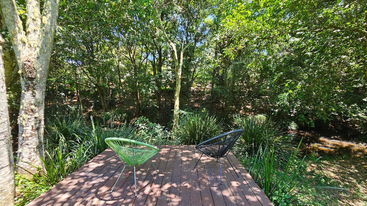 A wooden deck with two chairs, one green and one black, facing a lush forest. The deck is surrounded by tall grasses and trees with dense green foliage. Sunlight filters through the leaves, casting dappled shadows on the deck. A small stream is visible to the right, bordered by more greenery.
