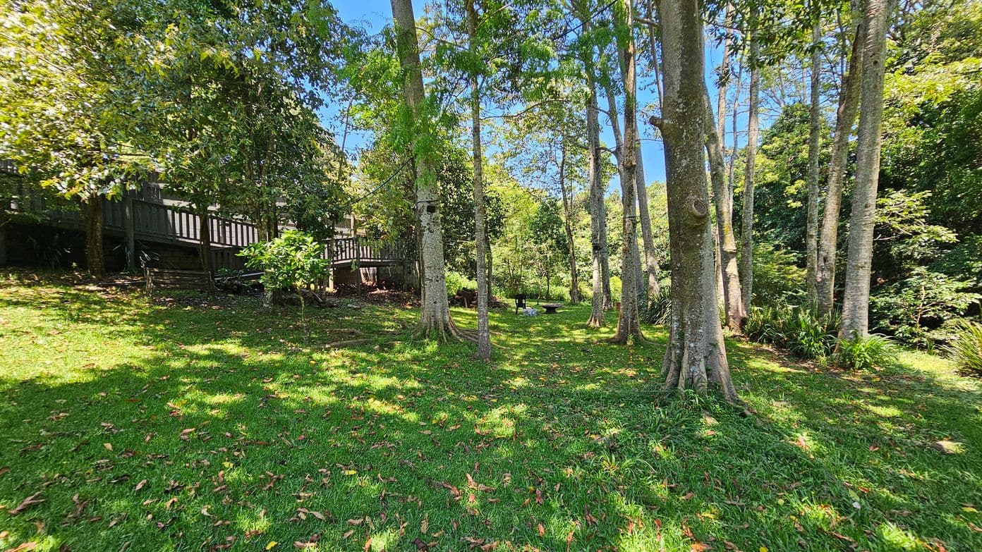 A grassy area with scattered fallen leaves, surrounded by tall trees. On the left, a wooden deck is partially visible through the trees. In the centre, a small bench and table are set up among the trees. The background is filled with dense greenery, creating a lush, forested atmosphere.