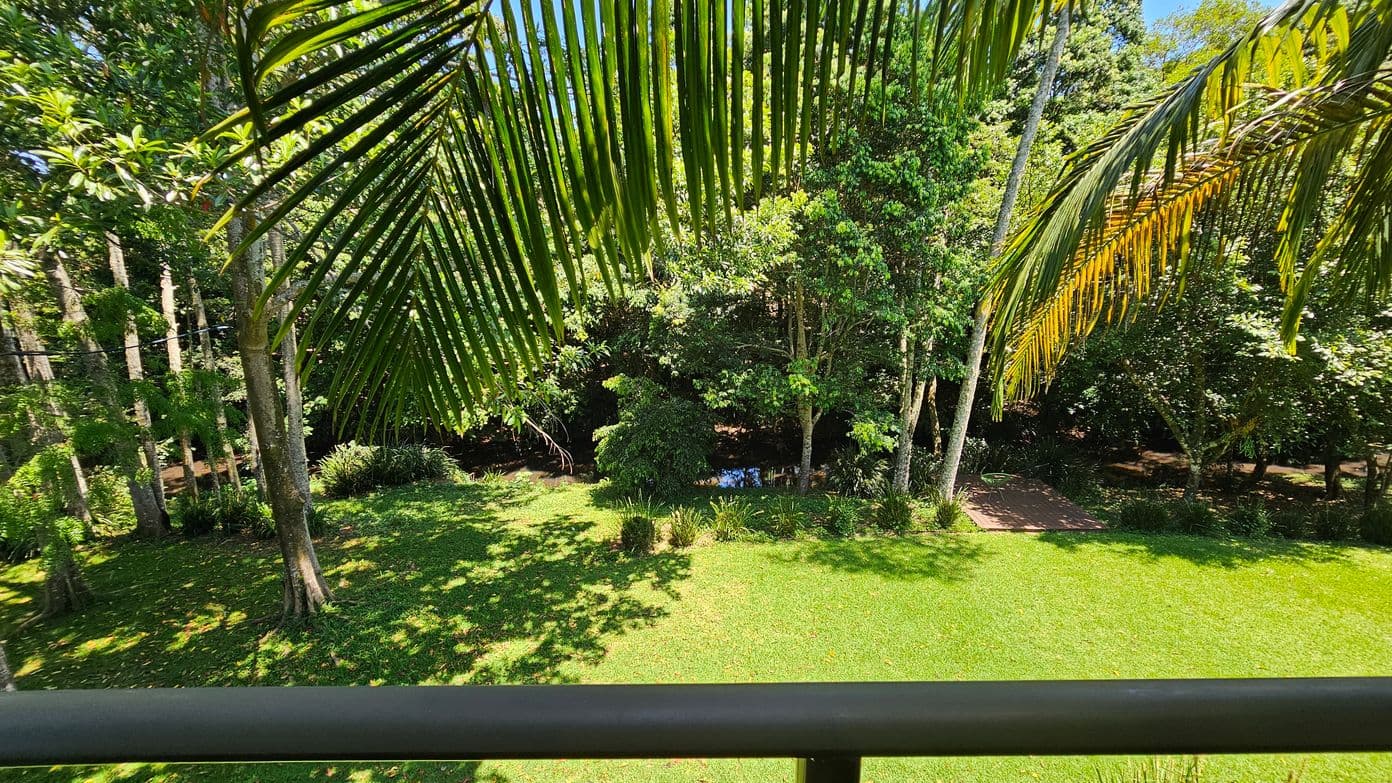 Large palm fronds hang in the foreground, partially shading a lush green lawn. In the background, a variety of trees with dense foliage create a natural border. A small body of water is visible through the trees, reflecting some light. The scene is vibrant and verdant, suggesting a tropical or subtropical environment.