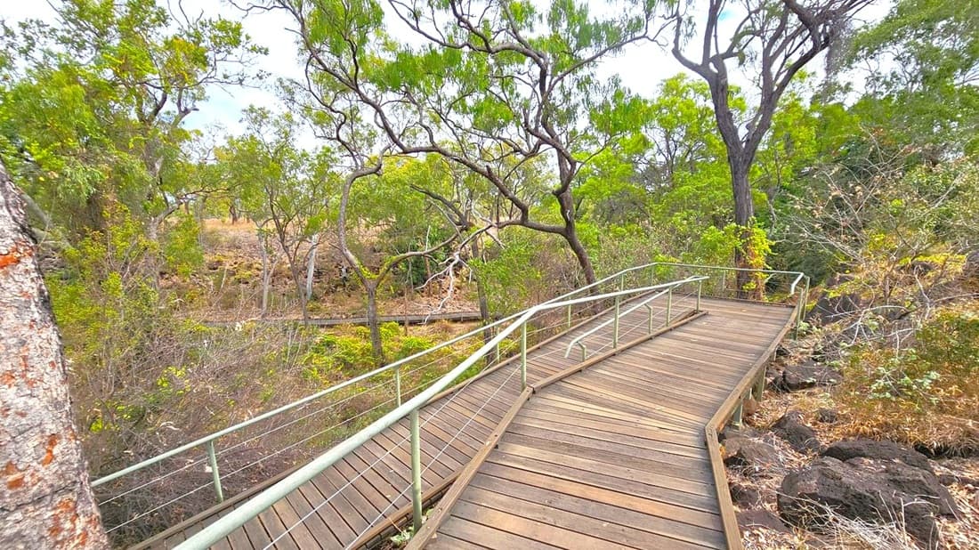 A wooden boardwalk with metal railings curves through a natural setting. On the left, dense vegetation with various trees and shrubs. On the right, more trees and undergrowth, with some rocks visible. The boardwalk is elevated slightly above the ground, providing a clear path through the greenery. The area appears to be a forest or nature reserve, with a mix of green and brown tones in the foliage.