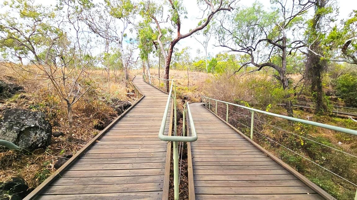 A wooden boardwalk with metal railings splits into two paths, one veering left and the other right. The area is surrounded by dry, sparse vegetation and scattered trees with thin branches. The ground is covered with dry grass and some rocks. The trees have a mix of green and brown leaves, indicating a dry season. The boardwalk is elevated slightly above the ground, and the landscape is gently sloping.