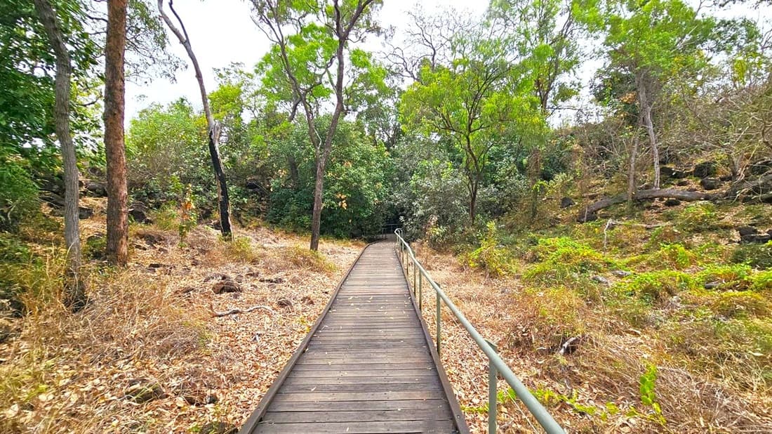A wooden boardwalk with metal railings runs through a forested area. On both sides, there are trees with green foliage and some dry underbrush. The ground is covered with fallen leaves and dry grass. The path leads into a denser area of trees in the background. The sky is overcast, visible through the tree canopy.