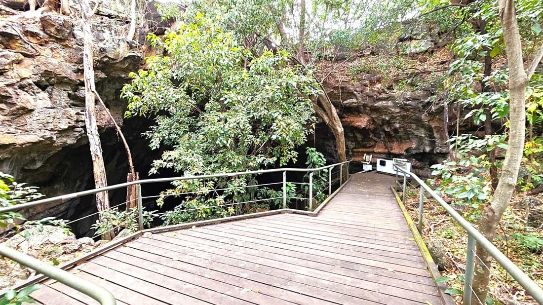 A wooden walkway with metal railings leads towards a cave entrance surrounded by dense greenery. On the left, a large tree trunk stands near the rocky cave wall. The right side features more trees and foliage. In the background, the cave's dark opening is visible, with a small white structure or sign near the entrance. The ground is covered with fallen leaves, and the area is shaded by the overhead canopy.