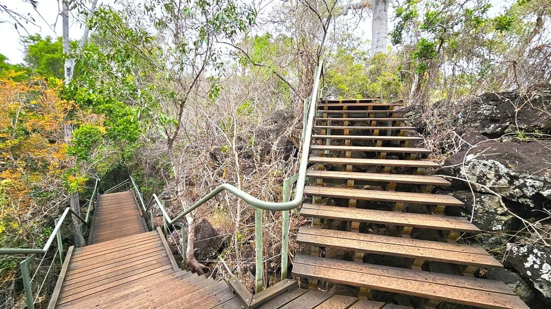 Wooden stairs in a natural setting with two paths diverging. On the left, the stairs descend into dense greenery with a mix of green and brown foliage. On the right, the stairs ascend, bordered by dark, rocky terrain and sparse vegetation. The handrails are metal, and the area is surrounded by trees and shrubs, creating a lush, forested environment.