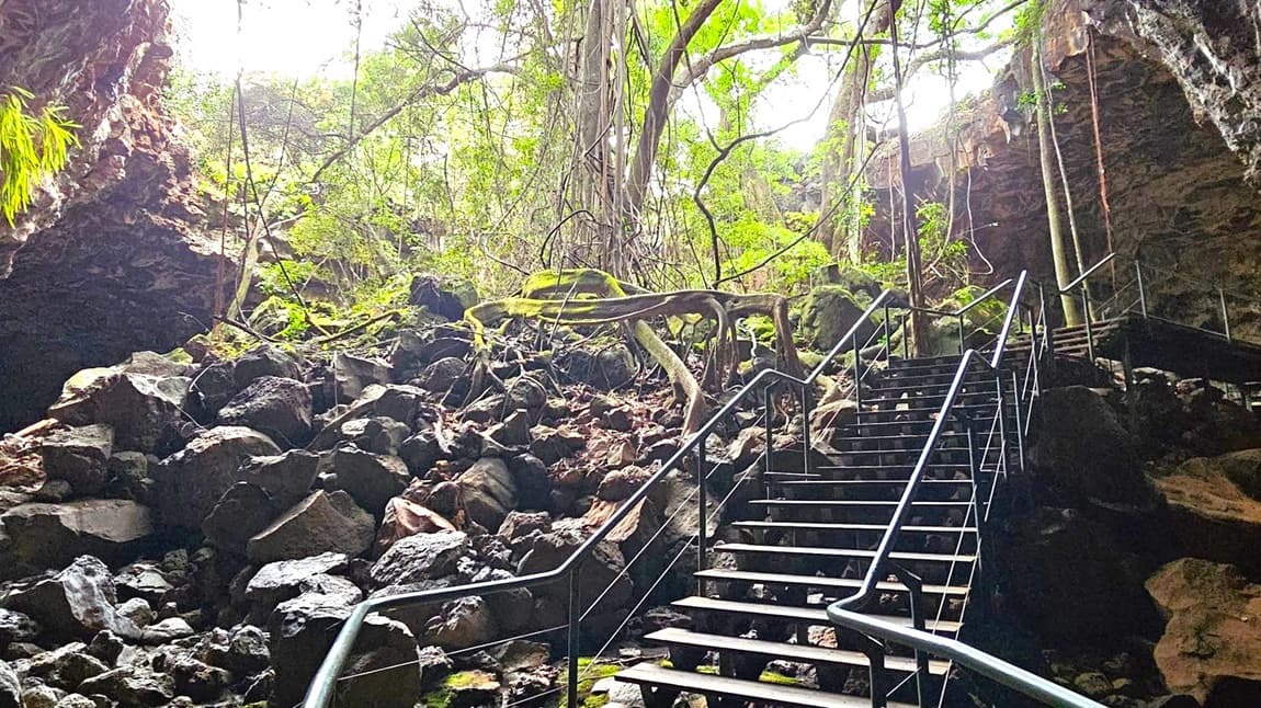 A rocky cave entrance with a metal staircase leading upwards. The foreground features large, dark boulders scattered around. In the background, lush green vegetation and tree roots extend across the scene, with sunlight filtering through the foliage. The cave walls are rugged and covered with patches of greenery. The staircase has railings on both sides, guiding the way through the natural landscape.
