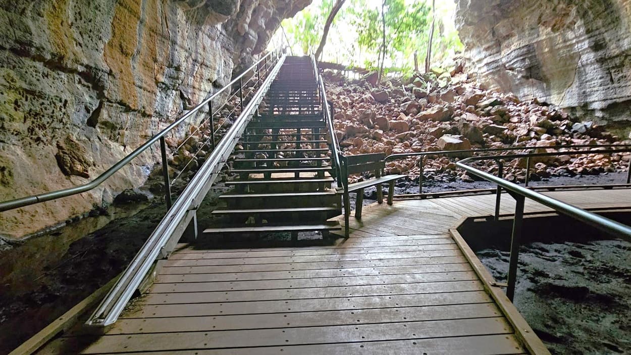 A wooden walkway leads to a staircase with metal railings ascending towards an opening surrounded by rocky terrain. The cave walls on either side are textured with layers of rock in various shades. At the top, trees and foliage are visible, allowing natural light to filter in. A bench is positioned near the base of the stairs. The floor is wooden, and the area is enclosed by railings.