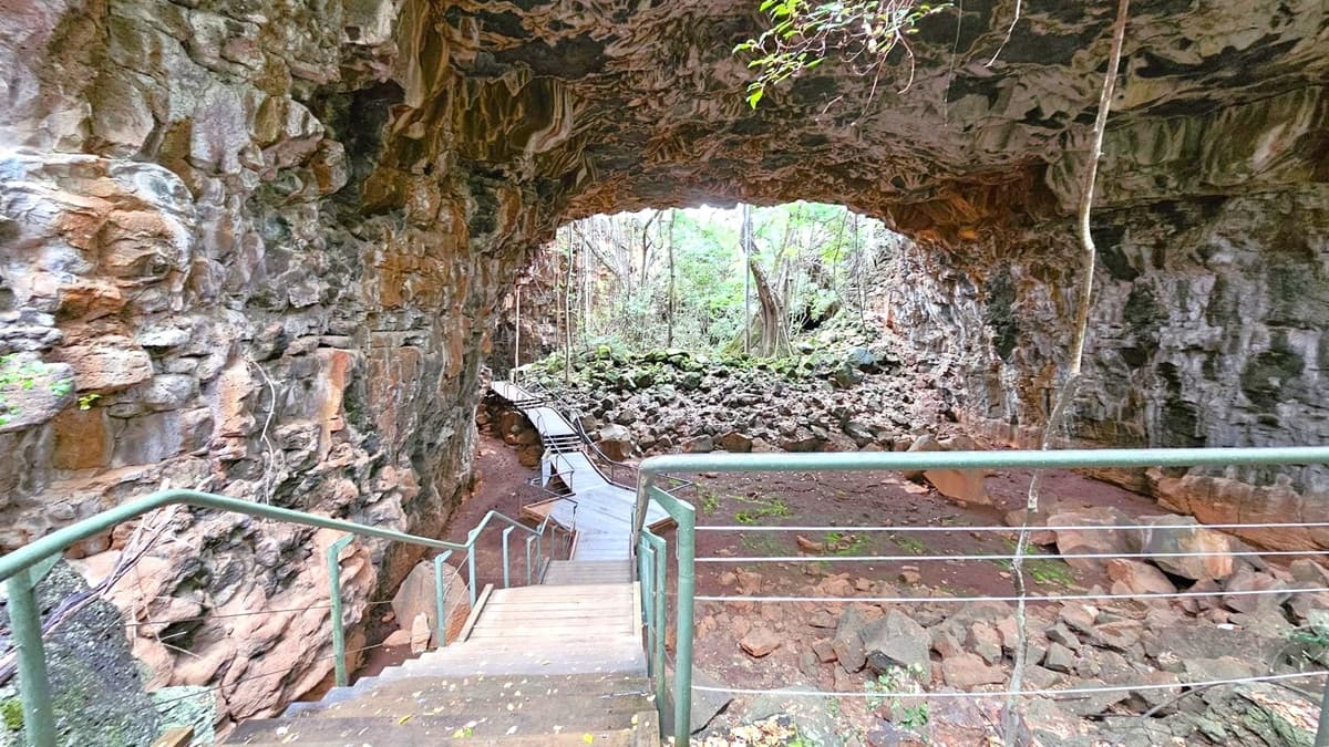 A rocky cave with a wooden walkway and metal railings leading downwards. The cave walls are rugged and textured, with some greenery hanging from above. In the background, the cave opens up to a lush forest with dense trees and foliage. The ground is covered with rocks and patches of moss. The ceiling of the cave is uneven and natural, with some vines hanging down.