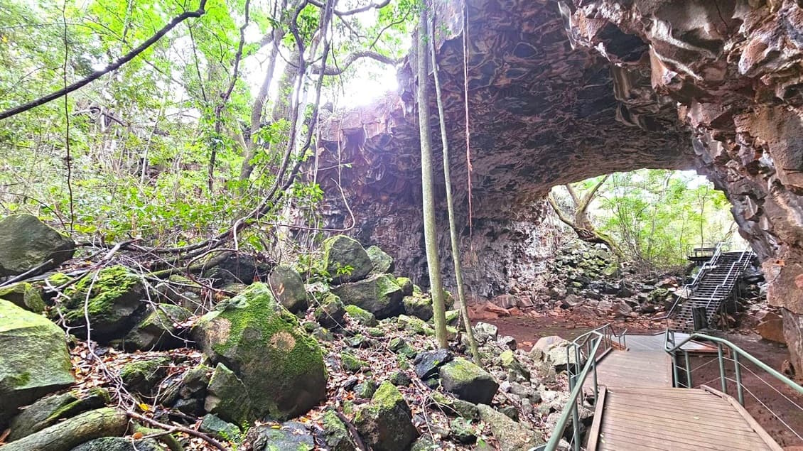 A natural cave with a rocky interior and a large opening. On the left, dense vegetation with trees and vines covers mossy rocks. In the centre, the cave's ceiling is rugged and uneven. On the right, a wooden walkway with metal railings leads into the cave, with stairs ascending towards the opening. The background shows more greenery and trees visible through the cave's entrance. The ground is covered with fallen leaves and rocks.