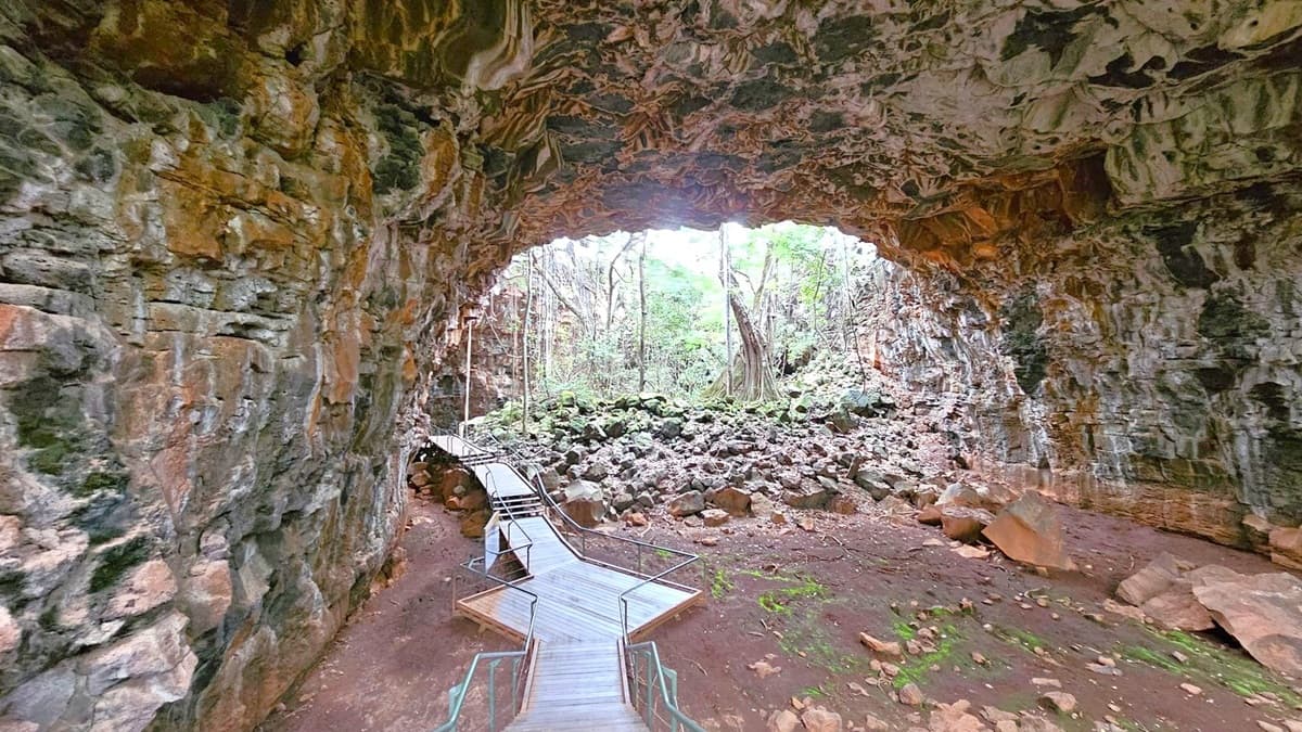 A cave with rugged, rocky walls and a textured ceiling. The floor is uneven with patches of green moss. A wooden walkway with railings leads from the foreground into the cave, curving slightly to the left. In the background, the cave opens to a lush forest with tall trees and dense foliage. Large rocks and boulders are scattered at the cave's entrance. The lighting is dim inside the cave, contrasting with the brighter light outside.