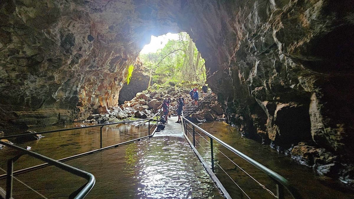 Inside a large cave with rugged, rocky walls on both sides. A metal walkway with railings extends through shallow water towards the cave's entrance, where several people are standing. The entrance is bright, revealing lush greenery and rocks outside. Sunlight filters in, illuminating parts of the cave and casting reflections on the water. The ceiling is high and uneven, with patches of moss and vegetation.