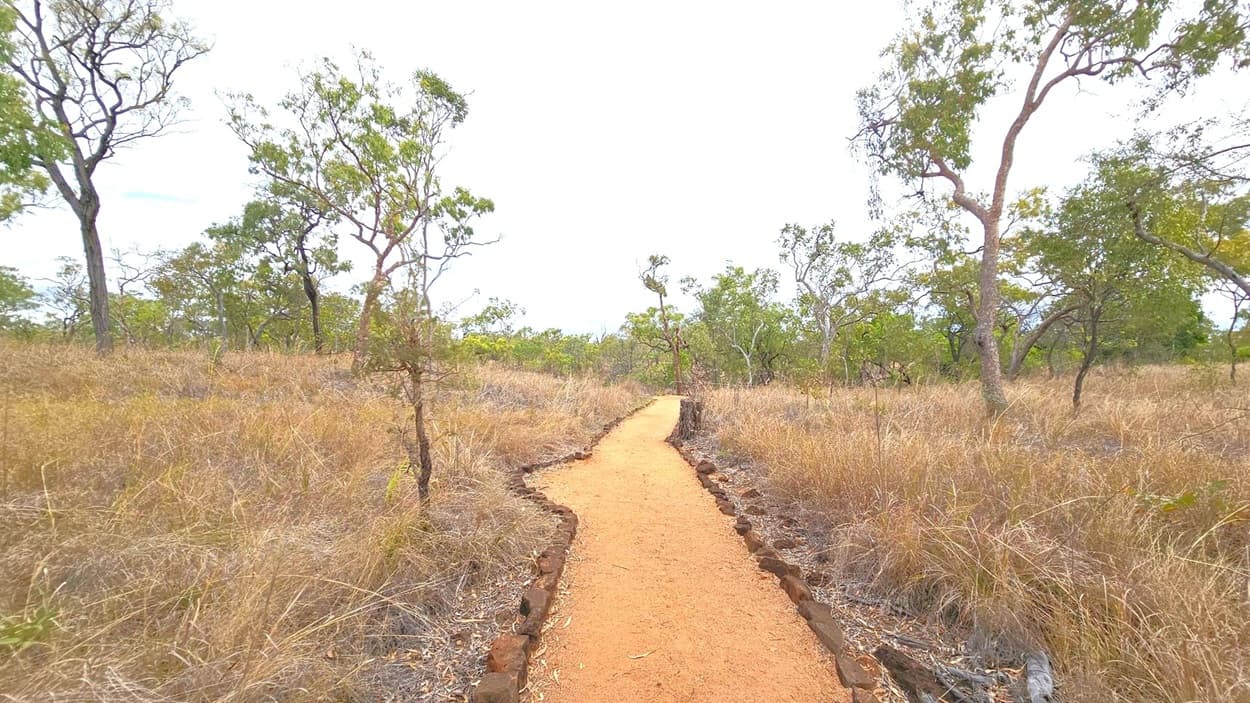A narrow, reddish-brown dirt path winds through a dry, grassy landscape. Sparse trees with green leaves are scattered on both sides. The ground is covered with dry grass and small shrubs. The path is bordered by small rocks, and the sky above is overcast.