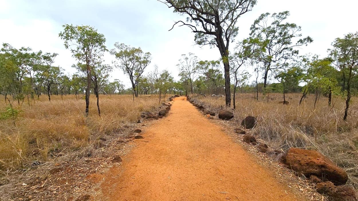 A dirt path stretches into the distance, bordered by scattered rocks. On both sides, dry grass and sparse trees with green leaves are visible. The trees are thin and spread out across the landscape. The sky is overcast, creating a muted atmosphere. The path is central, leading the eye towards the horizon.