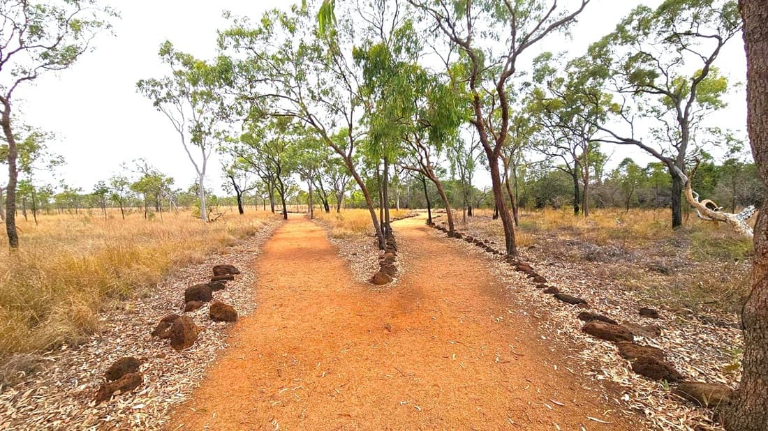 A dirt path forks into two directions in a natural setting. The ground is covered with reddish-brown soil, bordered by small rocks. Sparse trees with green foliage are scattered throughout the area, with dry grass and leaves covering the ground. The left path leads through a more open area, while the right path is slightly more enclosed by trees. The background is filled with more trees and vegetation, creating a sense of depth in the landscape.
