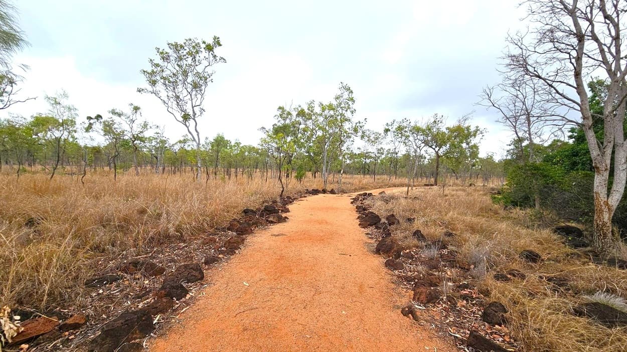 A winding dirt path stretches through a dry, grassy landscape. Sparse trees with green leaves are scattered on both sides, with some trees appearing bare. Dark rocks line the edges of the path. The ground is covered with dry grass and fallen leaves. The scene is flat, with no visible hills or mountains in the background.