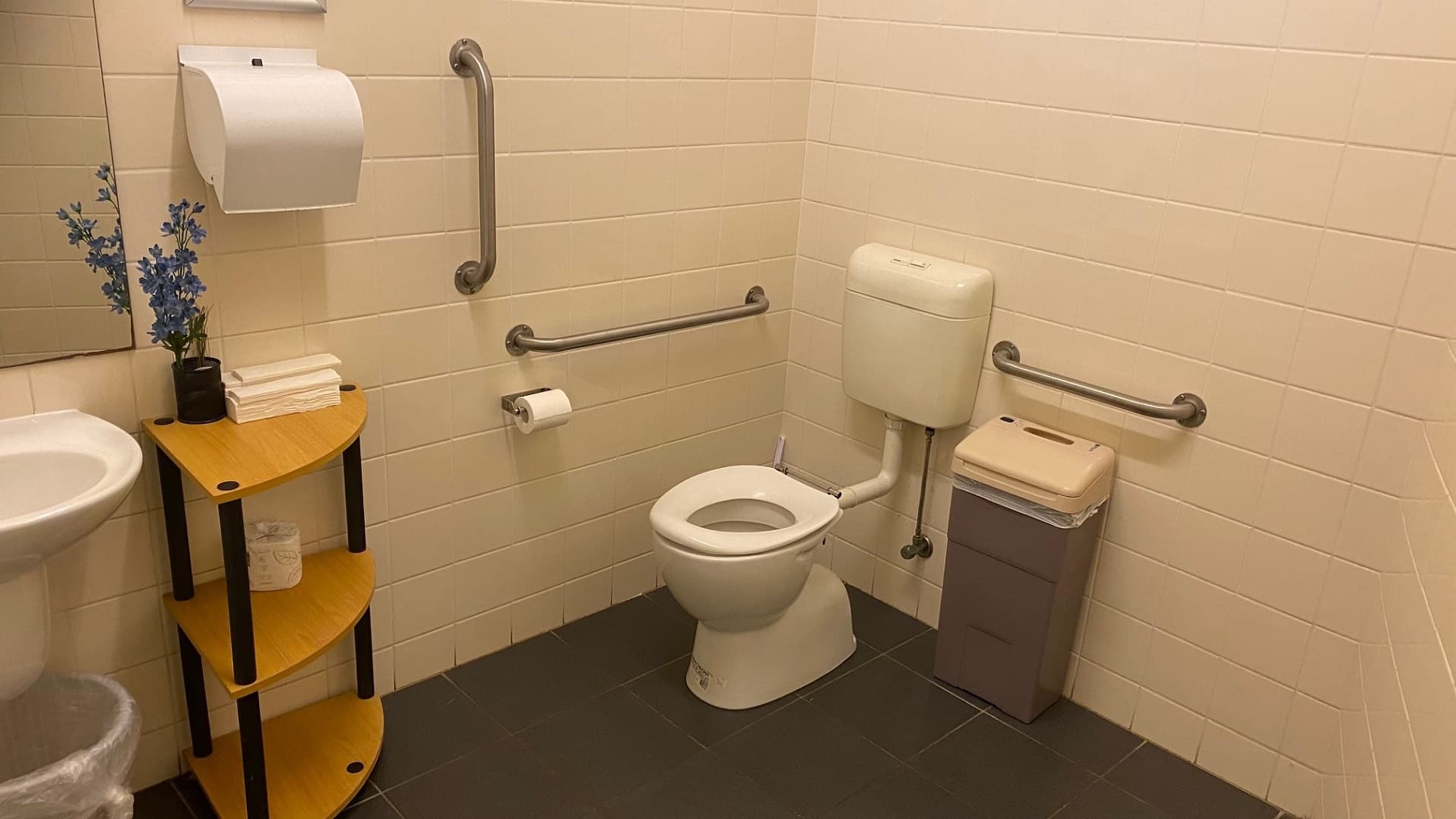 The bathroom has dark grey tiles on the floor and beige tiles on the wall. To the left is the hand basin and mirror, next to this is the paper hand towel and a three tiered shelving unit. There are three grab rails surrounding the toilet which is positioned next to a sanitary napkin disposal bin.