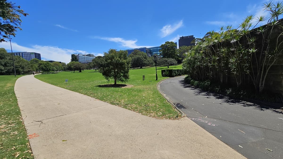 The concrete path leads to another path at the end, guiding towards the facility. A concrete wall, bordered by tall ornamental plants, is on the right. The surroundings include green grass, tall trees, and visible street lights. Near the entrance, there's a landscape of shrubs.