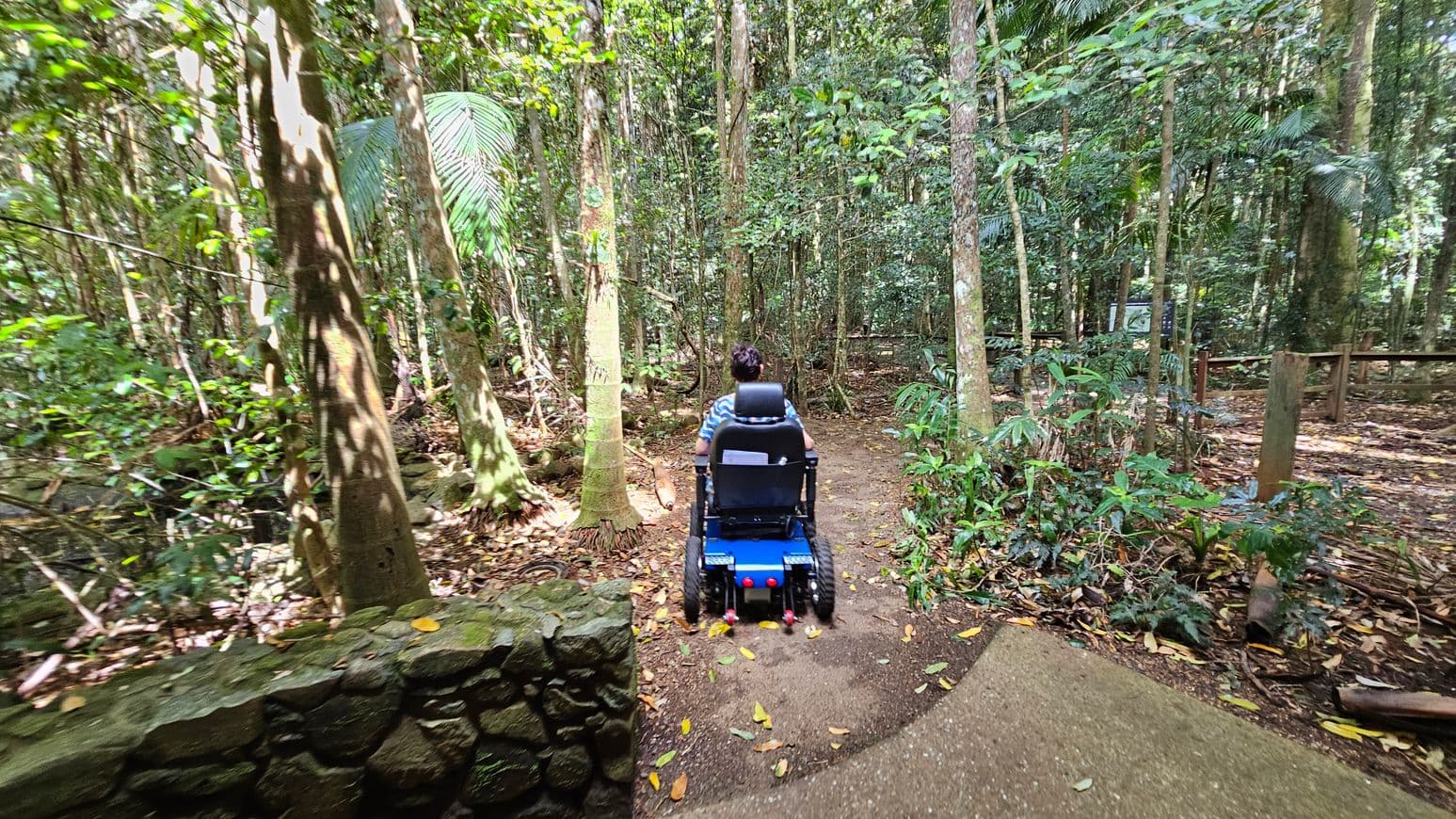 A person in a blue electric wheelchair is navigating a forest path. The path is surrounded by dense trees and foliage, with sunlight filtering through the leaves. On the left, there is a low stone wall, and the ground is covered with fallen leaves. The path curves slightly to the right, leading deeper into the forest.