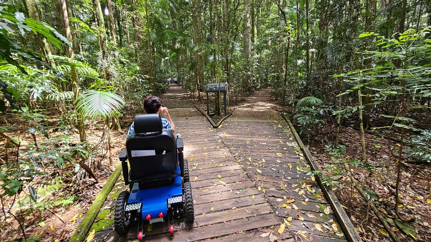 A person in a blue motorised wheelchair is on a wooden boardwalk in a dense forest. The path is surrounded by tall trees and lush green foliage. The boardwalk is covered with scattered leaves. In the distance, there are two people walking further along the path. A signpost is visible in the centre, where the path splits into two directions.