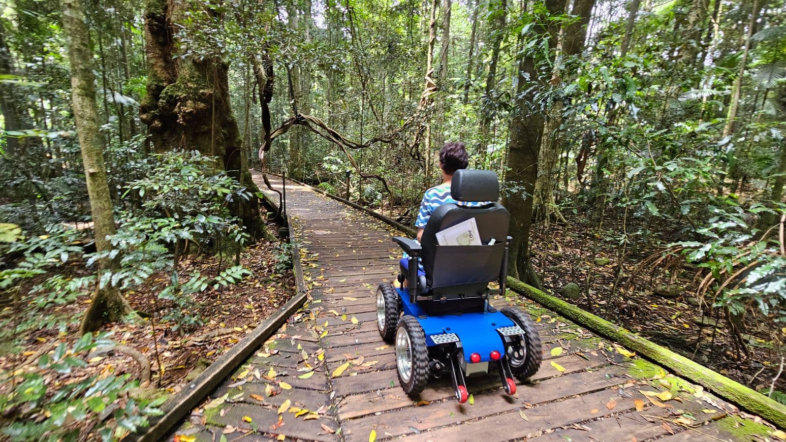 A person in a blue electric wheelchair is on a wooden boardwalk in a dense forest. The path is surrounded by tall trees and lush green foliage. The ground is covered with fallen leaves, and the boardwalk is slightly elevated. The wheelchair has large, rugged tyres suitable for the terrain. The person is wearing a striped shirt and is facing away, moving along the winding path.