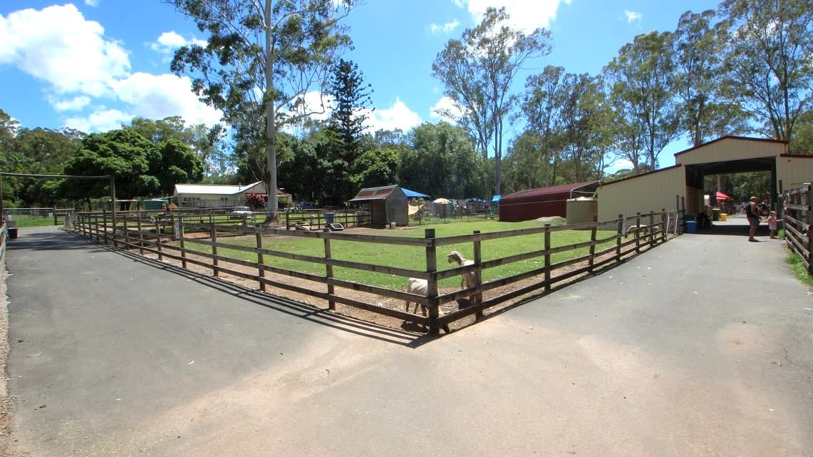 Right before the big barn is an enclosed shed. At the edge of the shed are two goats feeding. The shed is fenced with wood and has well-trimmed grass. Within the enclosed shed is a large tree. A solar panel hangs on one of the edges of the wooden fence. A woman and a child are petting an animal in the interactive animal area.