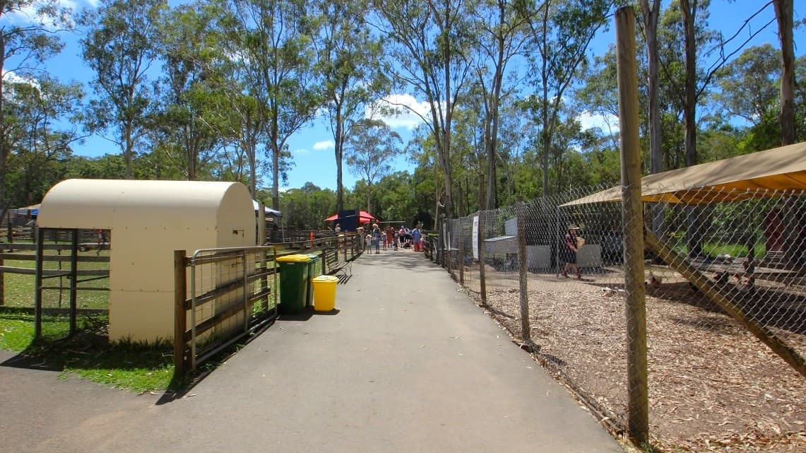 The big barn leads out into the interactive animal area. On each side of a cemented pathway are enclosed places. Visitors are on the pathway watching the animals. A gentleman is inside feeding the chickens which are in their shed. There is a sitting bench write outside the chicken area where guests can sit. Next to the chicken area are three trash cans; one small yellow trashcan and two green trash cans with yellow and green lids respectively.