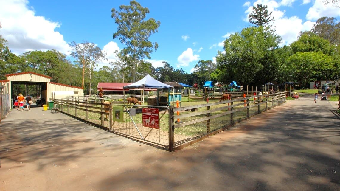 At the interactive animal area is a llamas’ enclosure. Outside the big barn is a yellow and green trash can that is right outside an animal enclosure for the llamas. The green gate to the animal enclosure has another signage showing the difference between a llama and an alpaca. A green poster has also been placed outside the gate to the Llamas’ animal enclosure.
