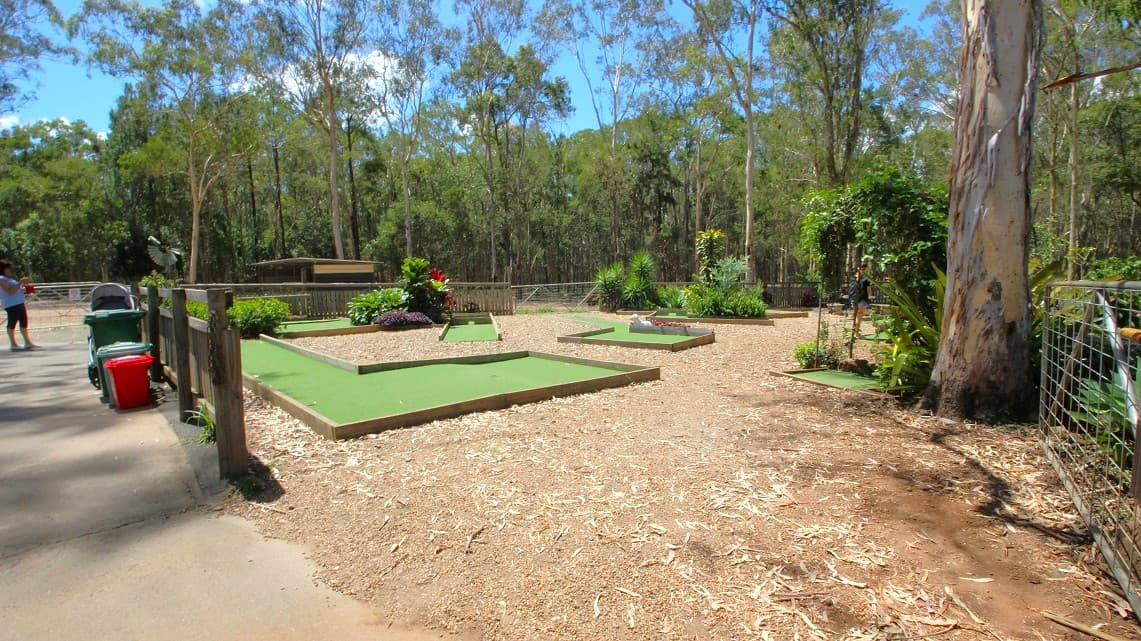 A putt golf course is at the top corner of the White Ridge Farm. It has a metallic green gate. The golf course is covered with dirt and foliage and is surrounded by shrubs, trees and grasses. Outside the golf course are three large and small trash cans. Outside the golf course is a cemented pathway that is also a good ground for children to play around as they watch the animals.