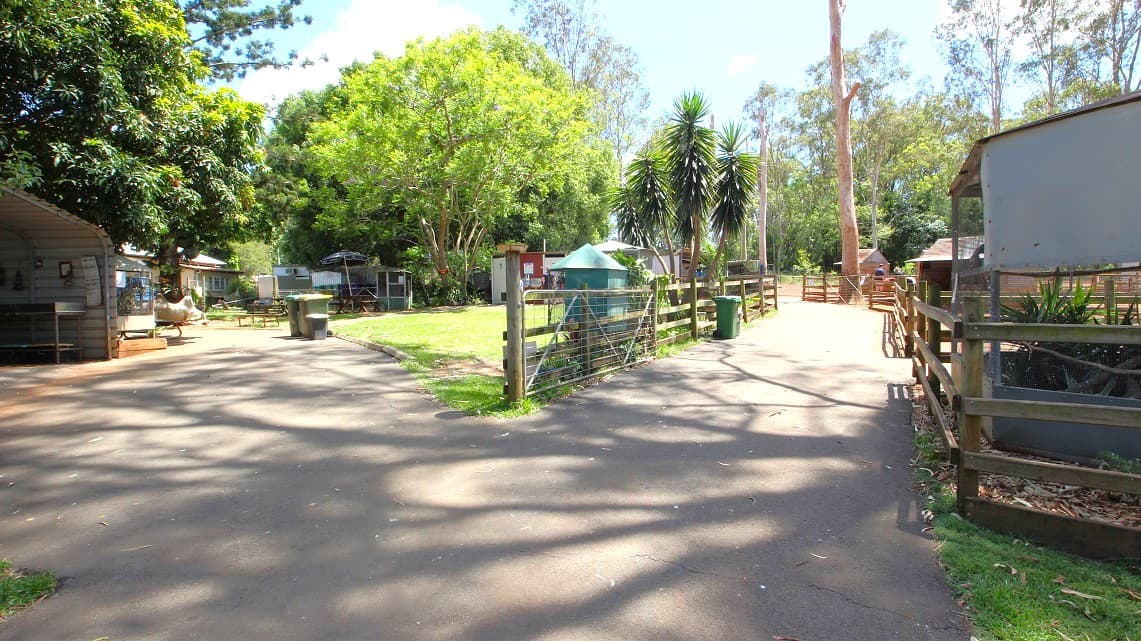 A pathway in a green park-like setting with trees and shrubs on either side. There are various animal enclosures and structures visible, along with a green garbage bin and fences lining the path.