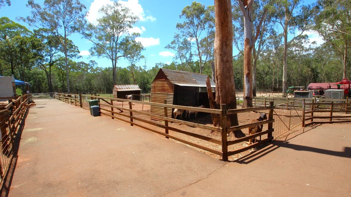 The outside interactive area has animal enclosures where there are llamas and alpacas. The enclosures have sheds made of rusted iron sheets. A small metallic gate leads into the animal enclosure. The animal enclosure is covered with bare soil and a few large trees. Outside the animal enclosure are rubbish bins of different sizes.