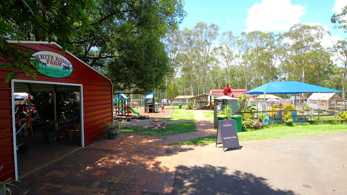 Opposite the toddler’s play area is the signage of the White Ridge Farm that leads to the private residence. Behind the signage is a large green tree whose overgrown branches provide quality shade. The toddler’s play area is furnished with two children's slides. Two children are seen playing on the second slide. The maroon-roofed party barn is right opposite the children's slides.