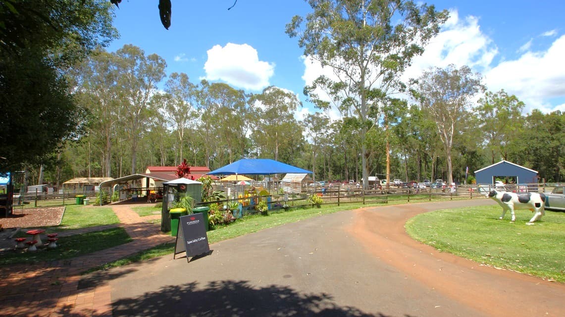 Directly opposite the toddler’s play area is a cow manikin on the well-trimmed lawn. Surrounding the toddler’s playing area are potted green plants. Outside the play area are two rubbish bins and a metallic banner reading, ‘Specialty coffee’. A dusty path from the toddler’s play area leads to the party barn which has a maroon roof that is at the back of the property.