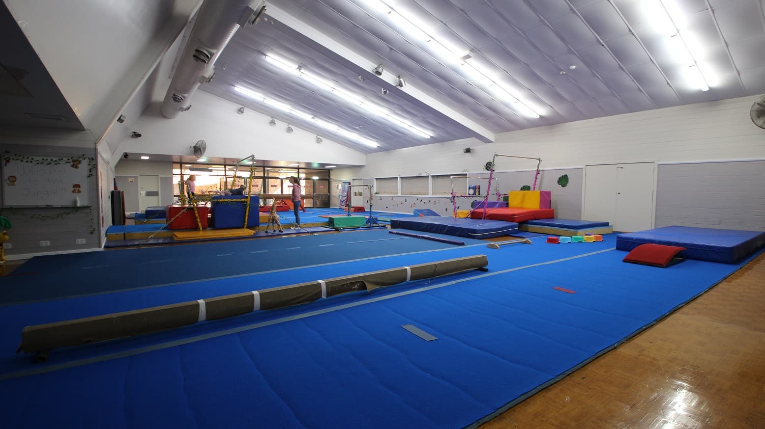 The gymnasium also has timber flooring but is featured by the large blue mats and other soft equipment used for gymnastics. There are obstacle platforms and pole vault platforms. The ceiling is white with subtle lighting. The inside of the gymnasium is full of varying colors, which makes the place alive and vibrant.