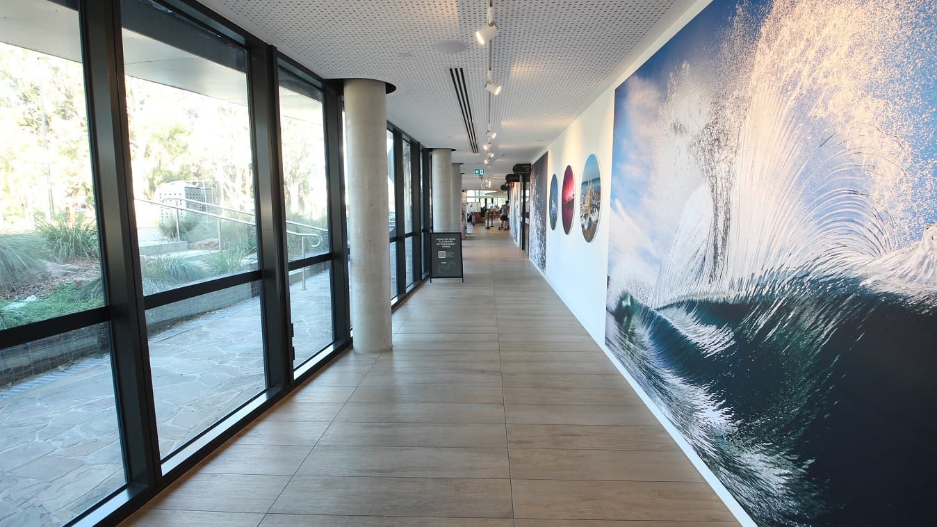 Long corridor from the back carpark entrance leading to the main reception area. Large, beautiful paintings cover most of the space on the white wall on the right. Seen through the glass doors while traversing this corridor is the railed staircase, perforated bins, and the unique floor design of the pathway outside. Lined in the middle of the ceiling are LED light shapes that alternately face the opposite walls in this corridor. A black signboard can be seen on the ashwood floor.