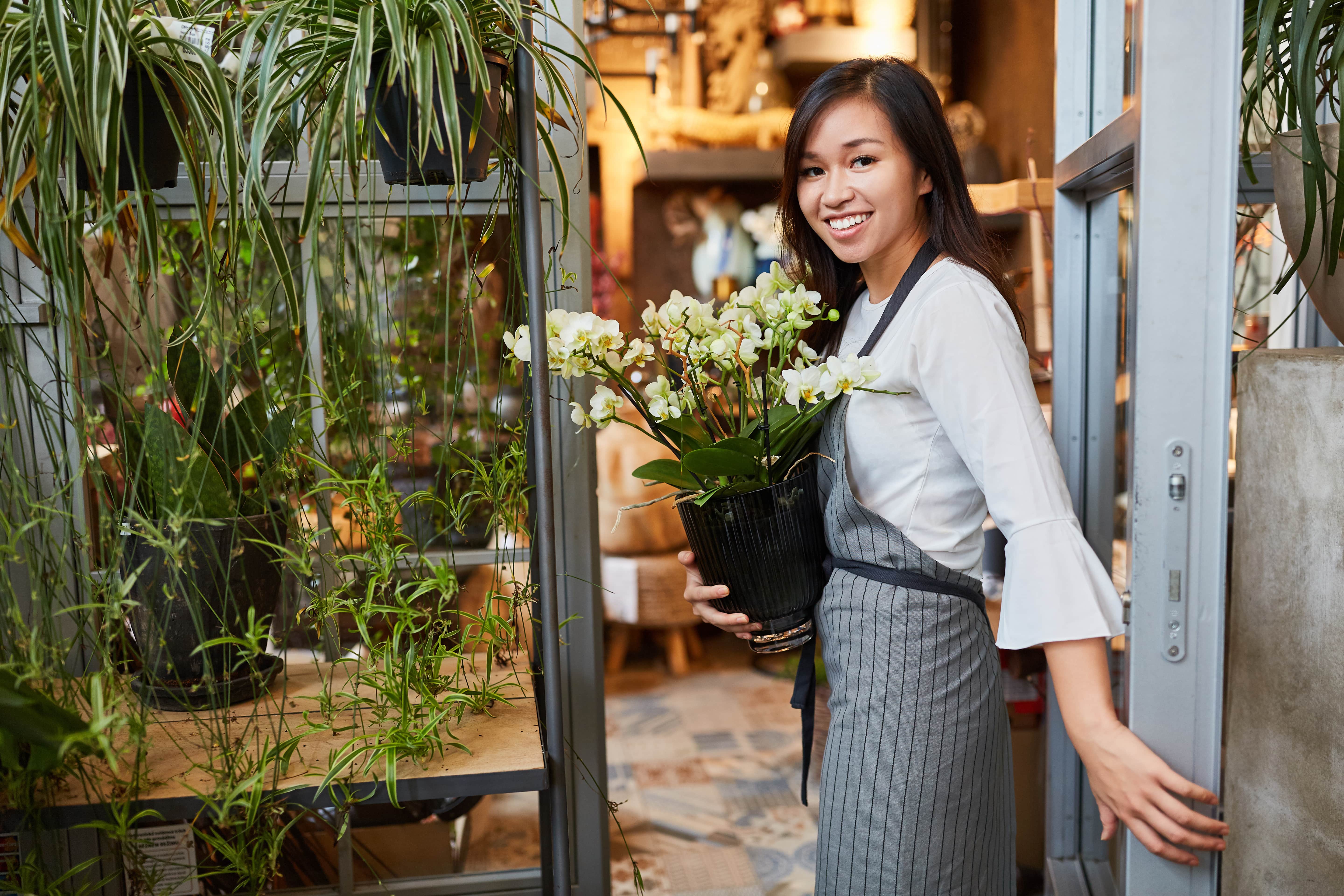 A young female florist is standing in the doorway of her store with a welcoming body language. The florist has a big bright smile, wearing a grey and black striped apron over her clothes and holding a small vase. The vase has a living orchid with many many white flowers. Inside the store is well lit and looks comfortable and plenty of other flowers to smell.
  To enhance our alttext, email alttext@cerge.app with suggestions